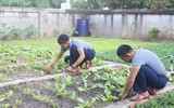 Mâm ngũ quả đặc biệt của lính Trường Sa trong ngày Tết